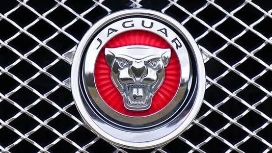 Jaguar Images